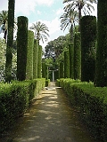 Gardens Of Alcazar 3